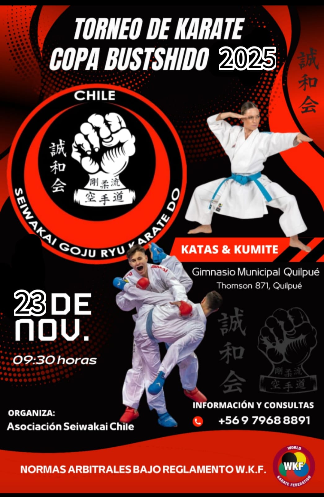 Copa Bustshido 2025