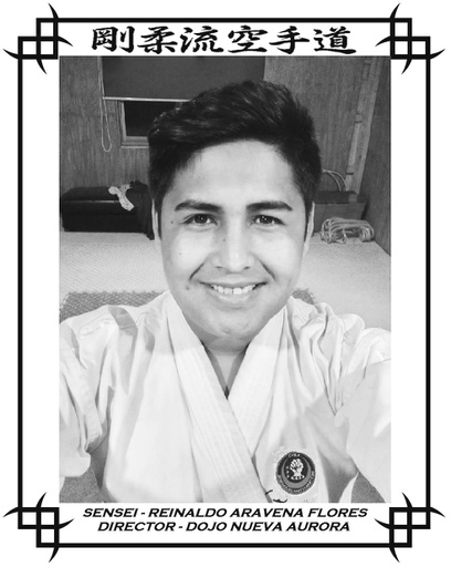 Sensei Reinaldo Aravena Flores